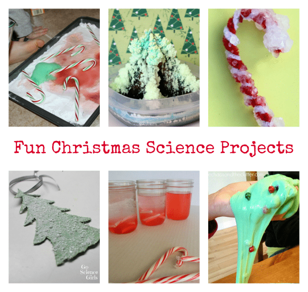 Science holiday homework for kids