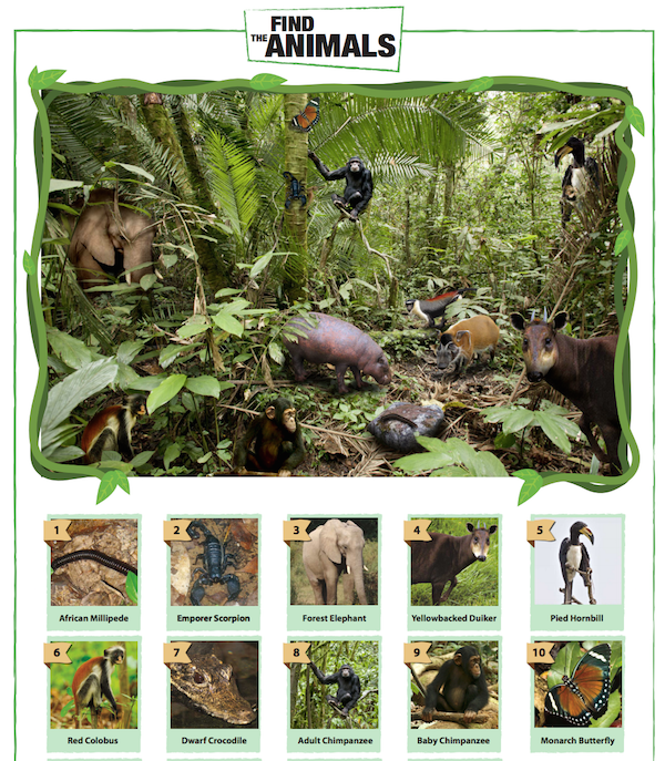 Free Printable Chimpanzee Find the Animals Game