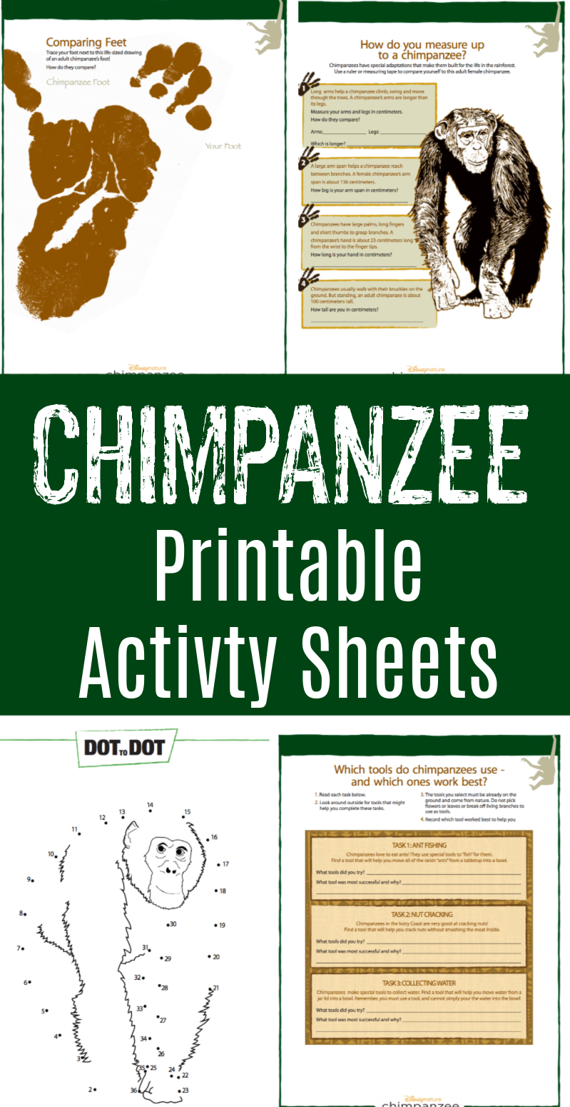 FREE Printable Chimpanzee Family Activity Book - Jinxy Kids