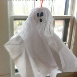 Egg Carton and Tissue Paper Ghost