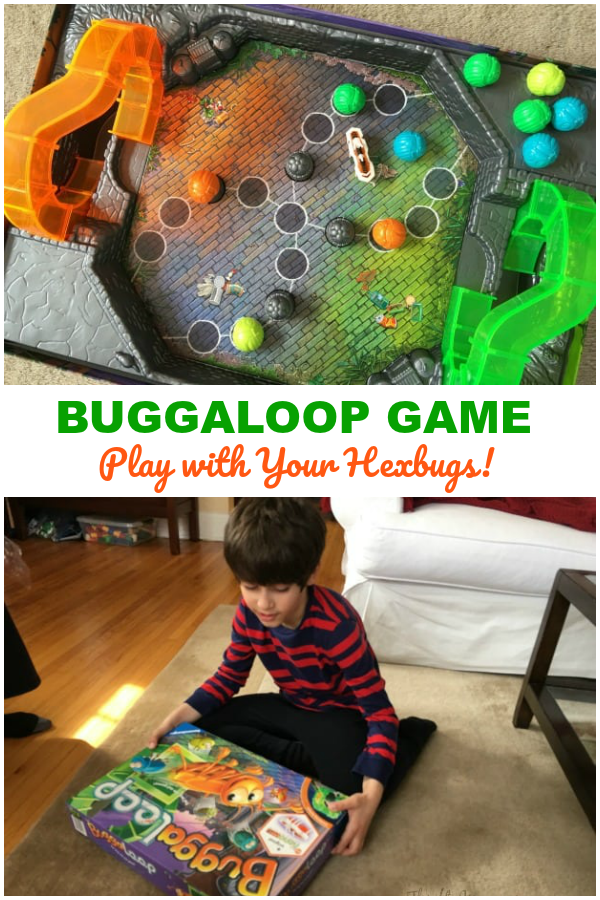 Buggaloop Game Play with HEXBUGs