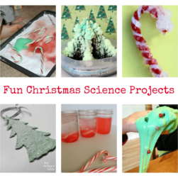 Fun Christmas Science Projects for Kids
