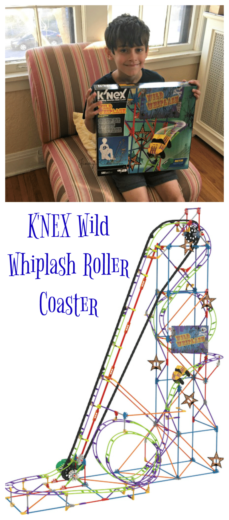 wild whiplash coaster building set