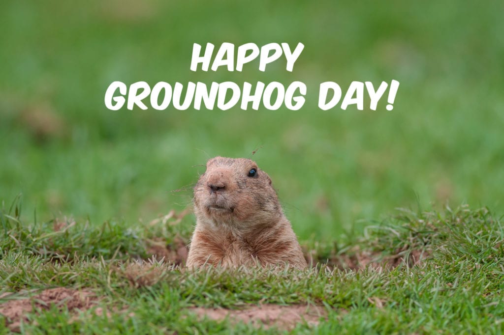 Happy Groundhog Day