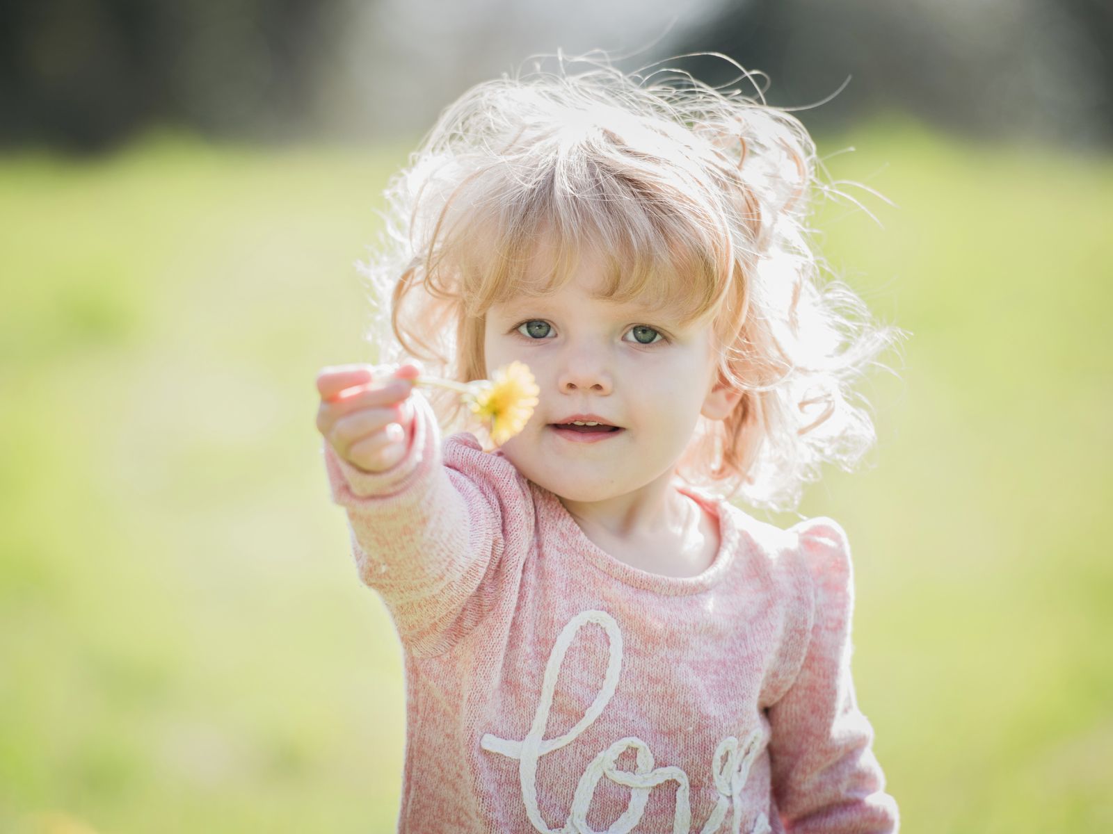 toddler offering flower