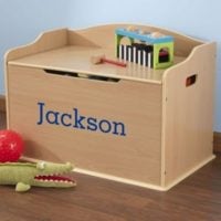 personalized toy trunk