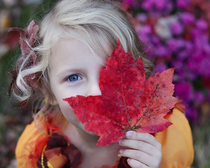 child fall leaf