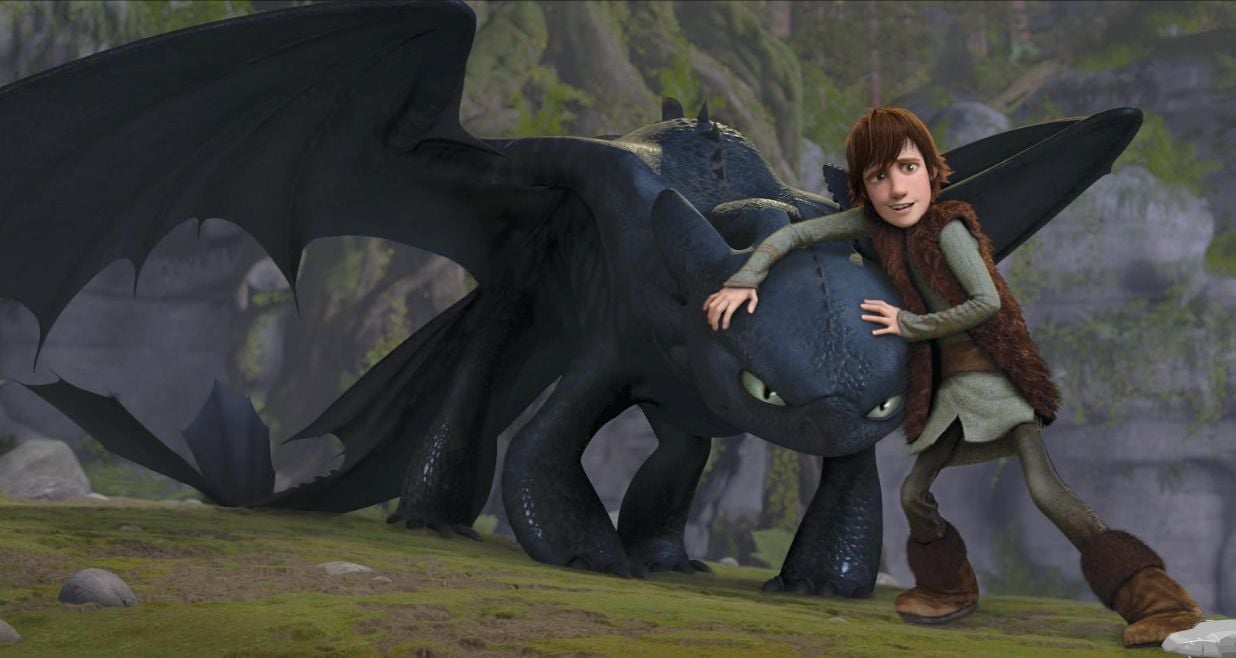 How to Train Your Dragon Toothless and Hiccup.