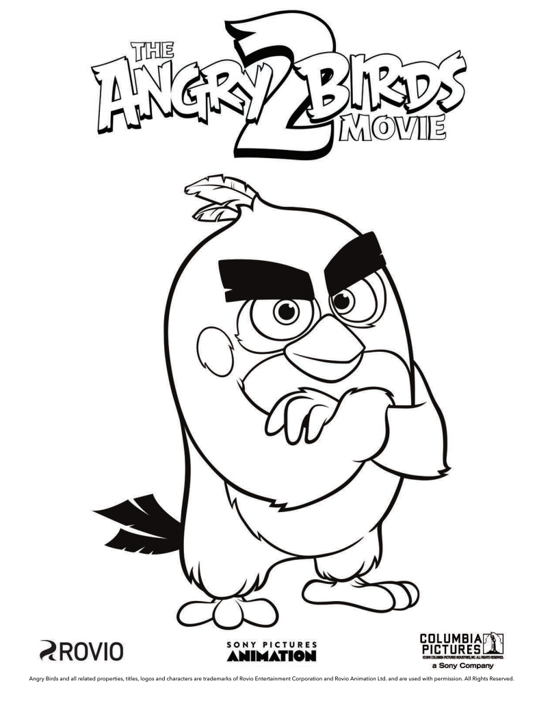 The Angry Birds Movie 21 Printable Coloring Pages   Jinxy Kids