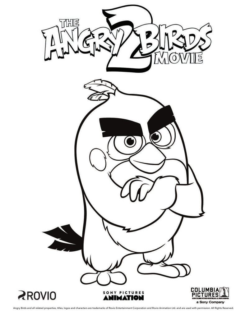 Download The Angry Birds Movie 2 Printable Coloring Pages Jinxy Kids