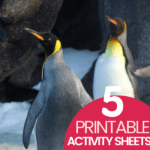 Penguin Activity Sheets
