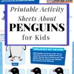 Printable Penguin Activity Sheets