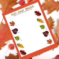 Fall Leaf Match Printable