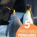 Free Printable Penguin Activity Sheets