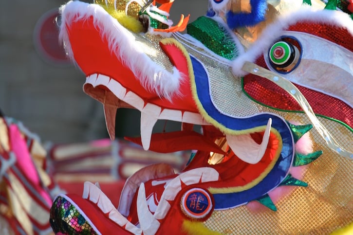 Chinese New Year Dragon