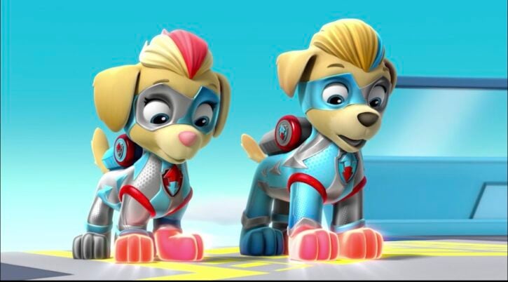  PAW  PATROL  Mighty Pups Super Pals Now on DVD Reader 