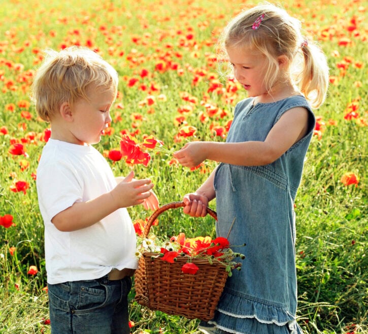 Synonyms: Springtime Matching Game by Christi's Creative Corner