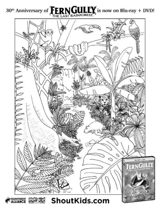 amazon rainforest coloring pages