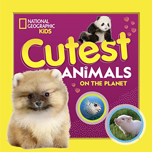 cutest animals book