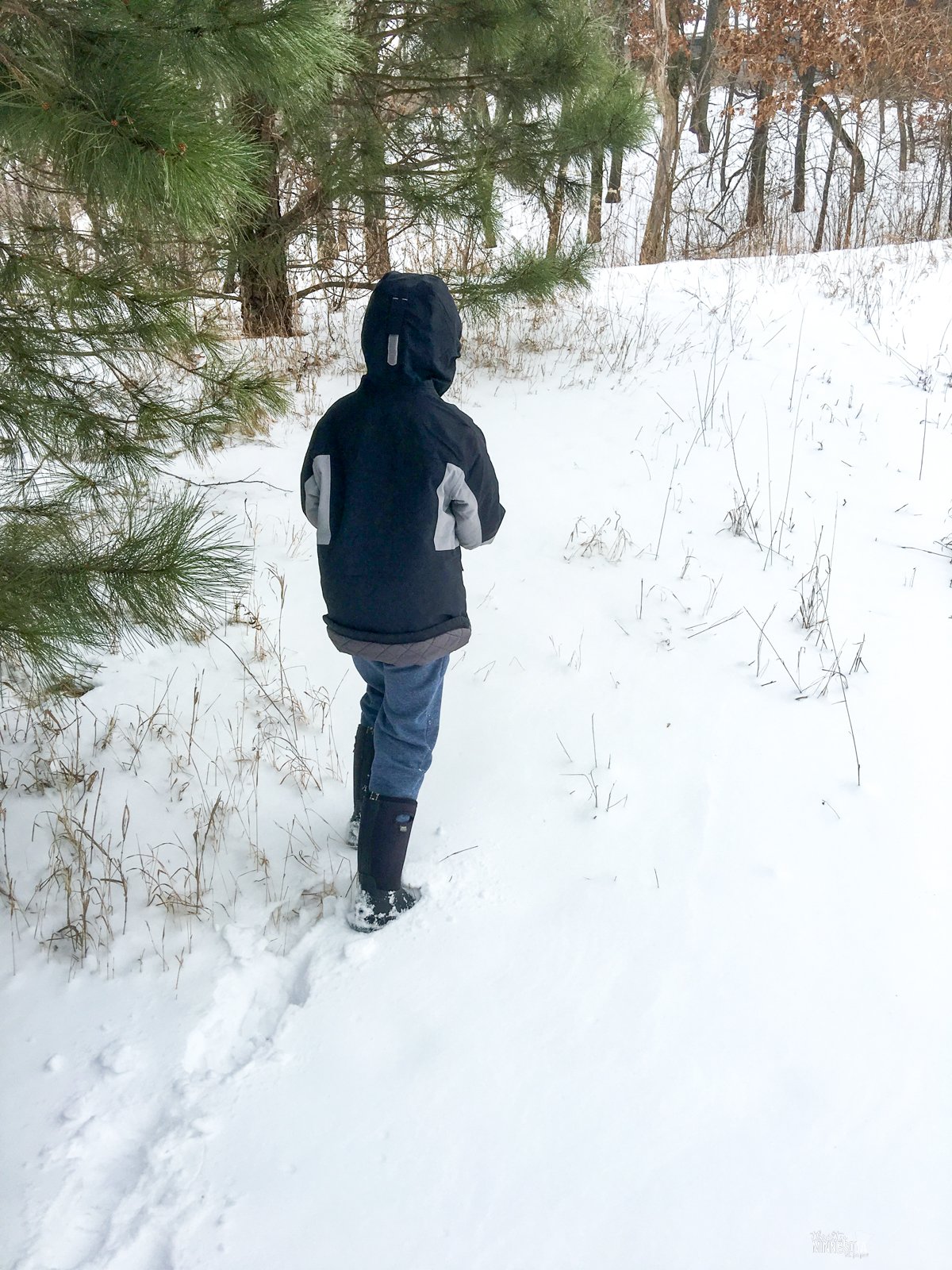 Boy in winter gear walking on snow near edge of a forest.