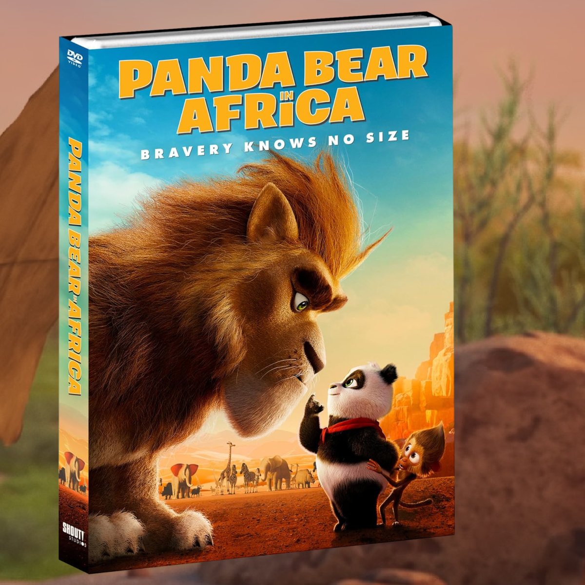 Panda Bear in Africa DVD.